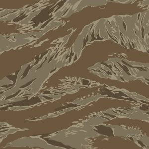 Tiger Stripe Desert